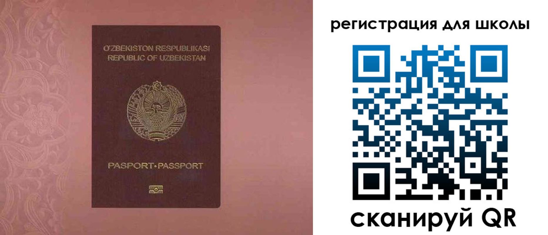 прописка для школы в Тихорецке