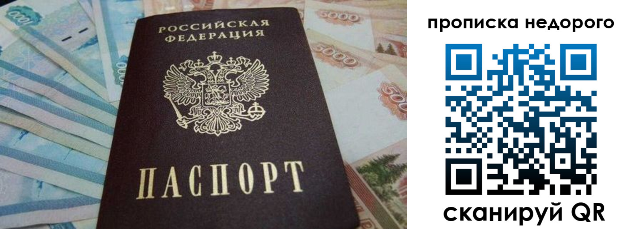 временная регистрация поиск в Тихорецке